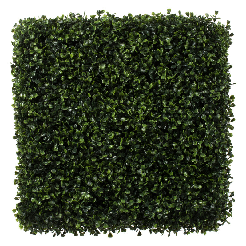 Boxwood Wall Panel Arrangement, 72" H x 48" W x 16" D