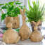Figurines et sculptures d'animaux de jardin