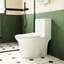 Une toilette en céramique 1,1 / 1,6, hauteur confortable, siège à fermeture en douceur blanche et allongé approuvé, 15,55 po