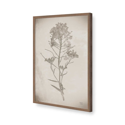 «Wildflower Journal Vintage I» par Nathan Larson, reproduction d'art