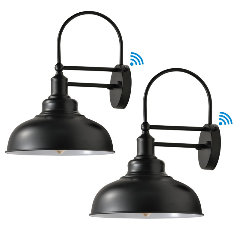 Anaia Iron Wall Light, Black/White