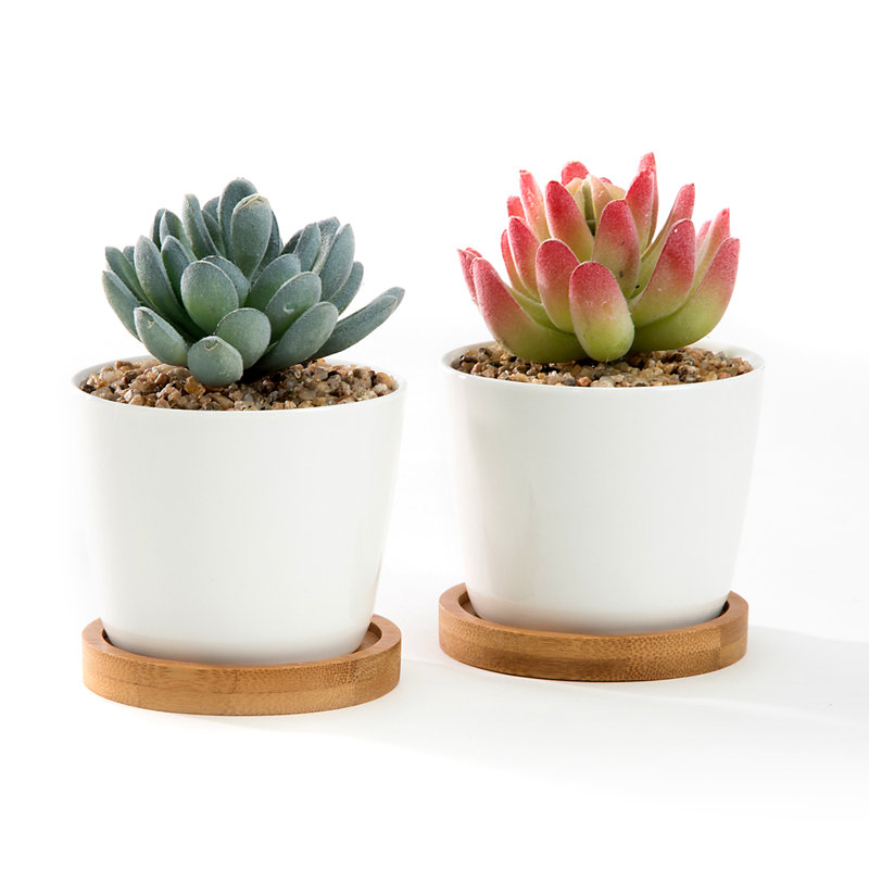 Ceramic Pot Planter