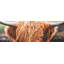 Portrait Highland Cow - Toile encadrée, décoration pour le salon-119950376