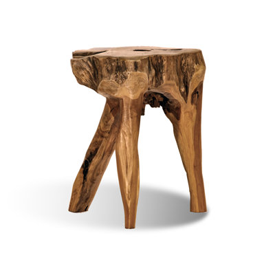 Teak Root Accent Stool by Ibolili