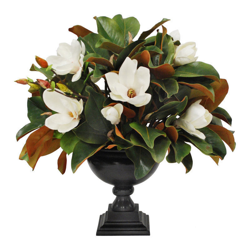 MAGNOLIA IN POMPEII URN