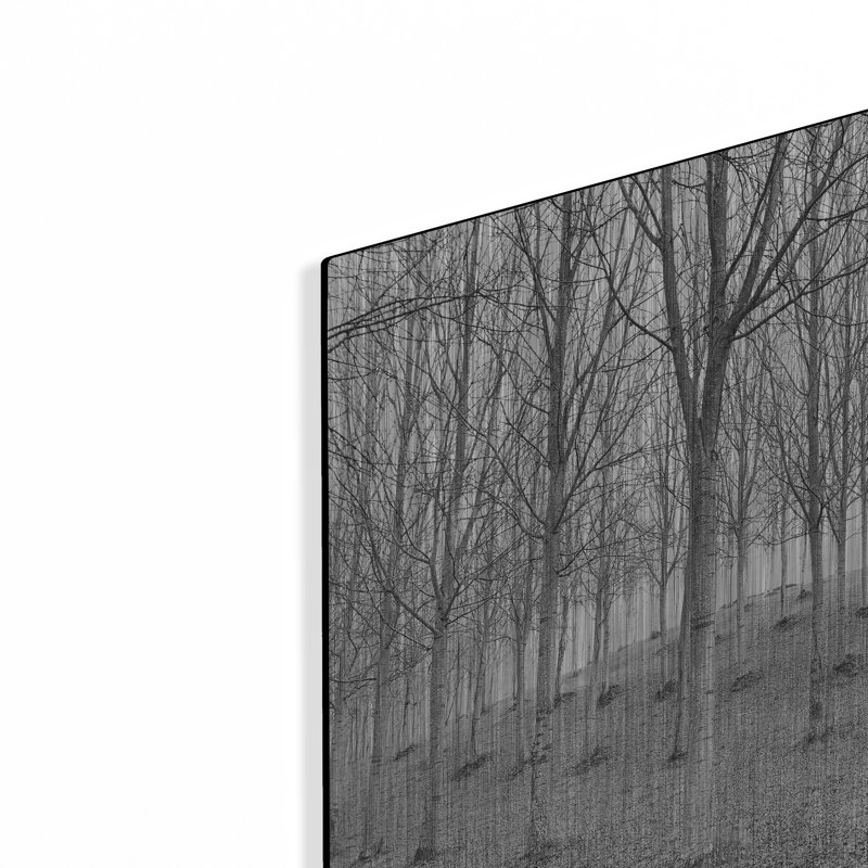 «Nature Reorganized» par IMB, H 12 po x l 16 po