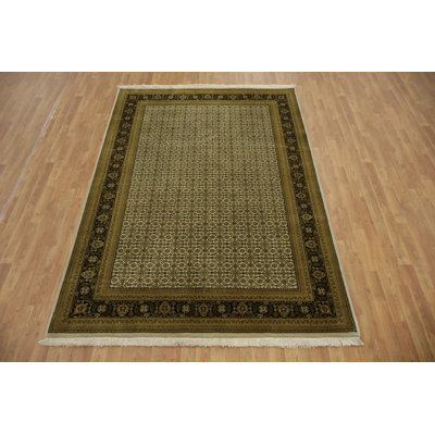 Luxury Traditional Oriental Area Rug 6x9