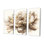 Floral Single Beige Flower Canvas 3-Piece Set - Beige Flower I