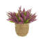 Heather in Strawgrass Pot-1961168768