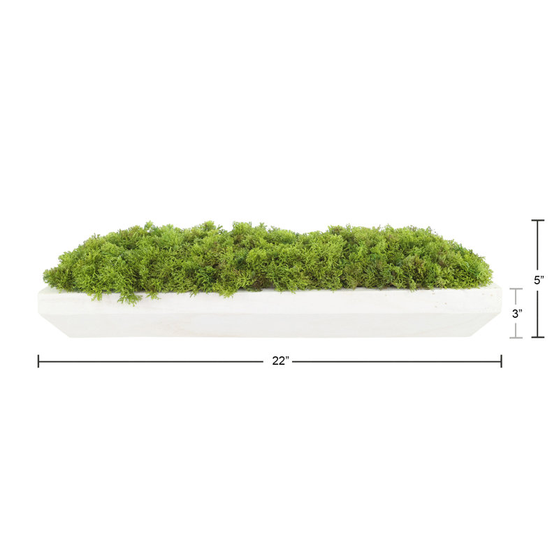 Moss Arrangement In Wood Dough Bowl