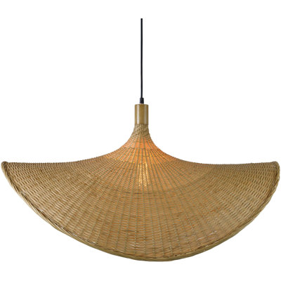 Luminaire suspendu 1 lumière Dickerson