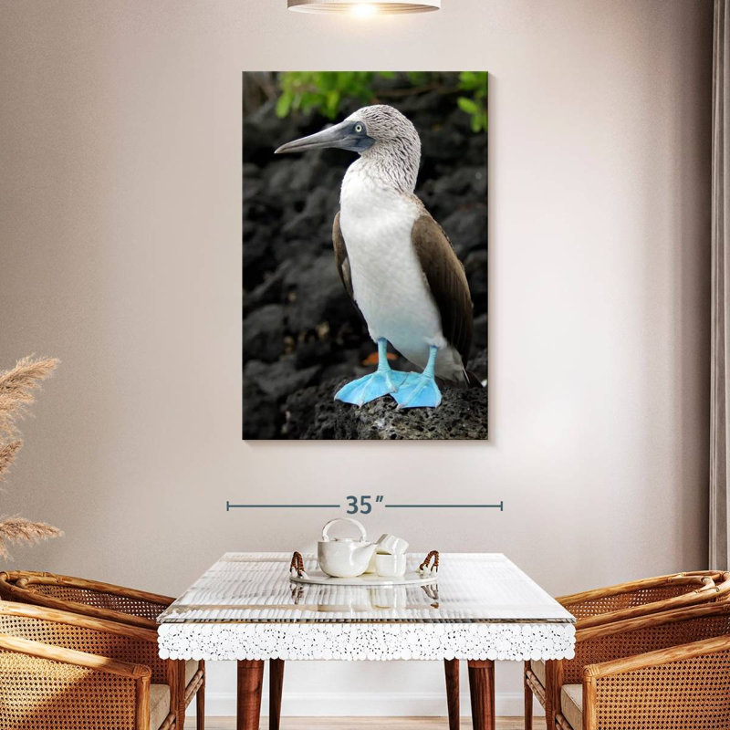 Brampt Blue-Footed Booby Birds, 48" H x 32" W