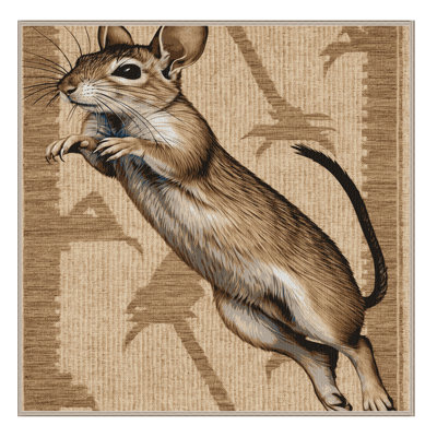  Tapis lavable Jerboa