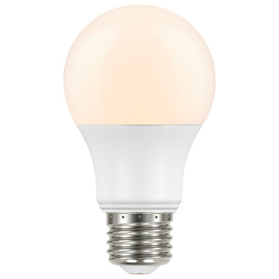 8 Watt LED Bulb