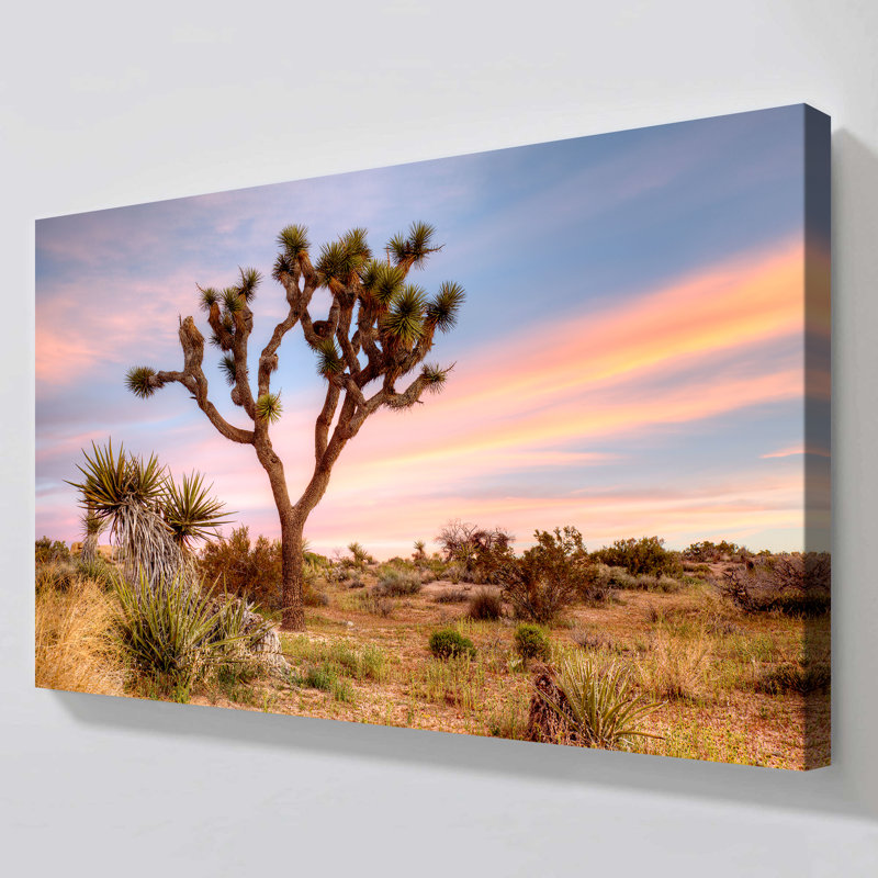 "Joshua Tree Sunrise" par Danita Delimont, reproduction sur toile, H 24 po x l 40 po x P 1,5 po