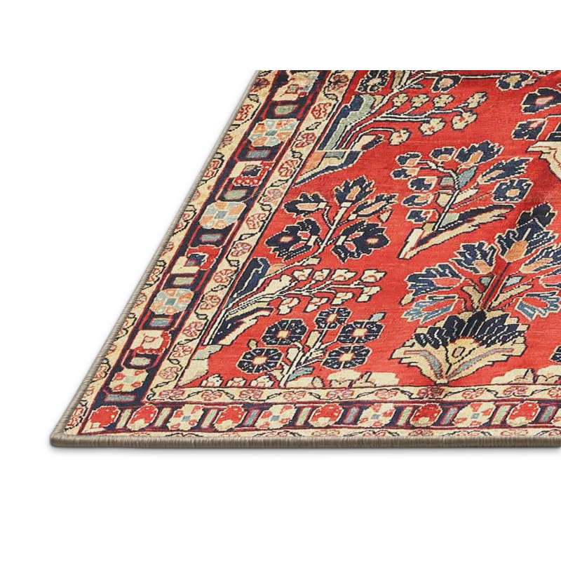 Cay Oriental Indoor Rug, Rectangle 5' x 7'
