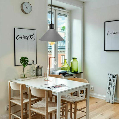 Lennie 1 - Light Dome Pendant