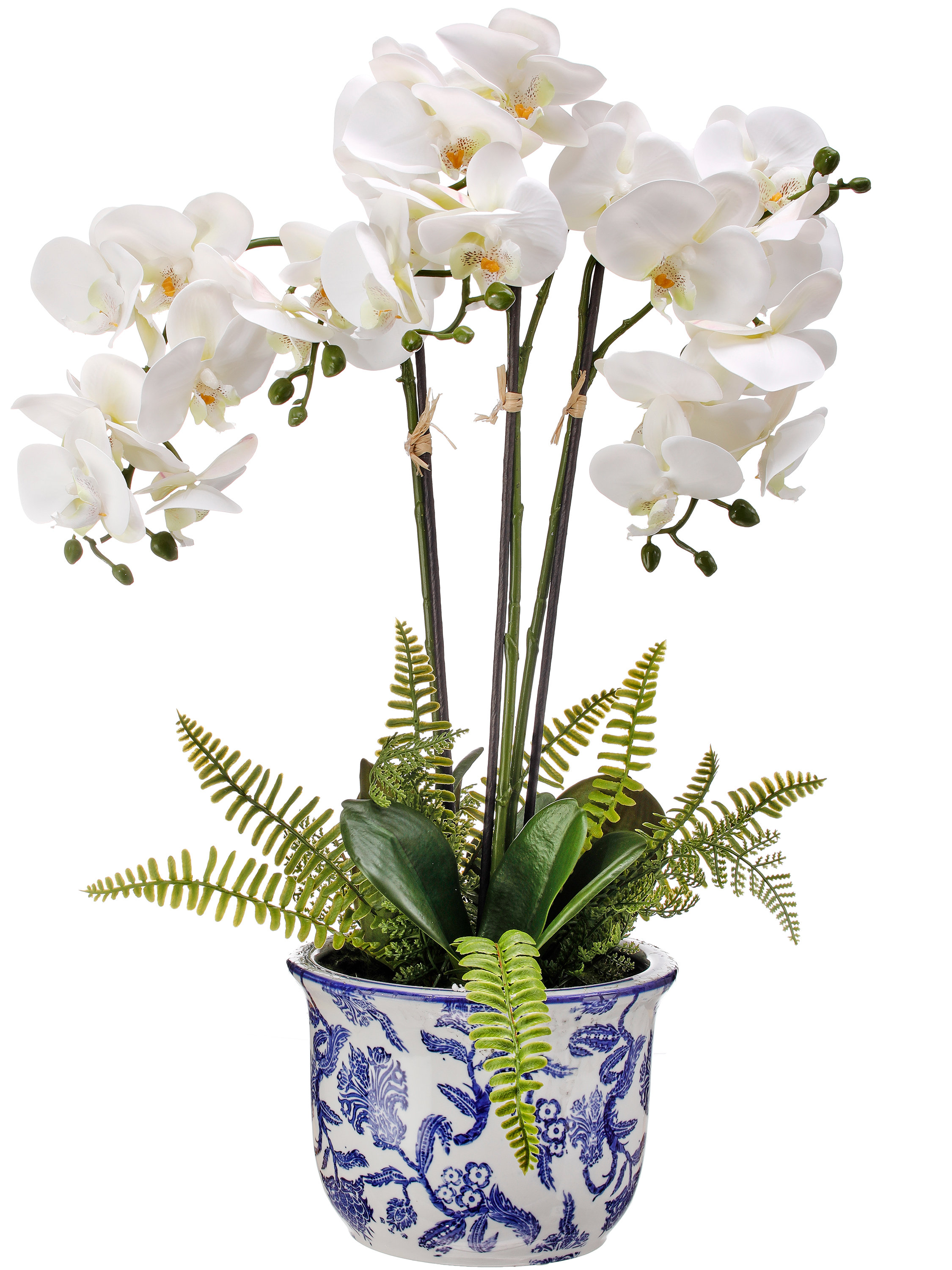 Primrue Orchid Arrangement in Chinoiserie Pot & Reviews | Wayfair