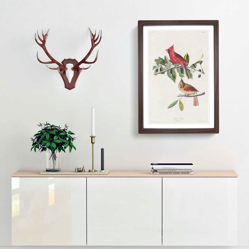 Cardinal Grosbeak Birds by John Audubon - Picture Frame Painting Print, 65cm H x 48cm W x 2cm D, Walnut Framed