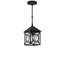 Ripley 1 - Light LED Outdoor Hanging Lantern