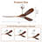 Nicola 60" 3 - Blade Standard Ceiling Fan with Remote Control-747933277