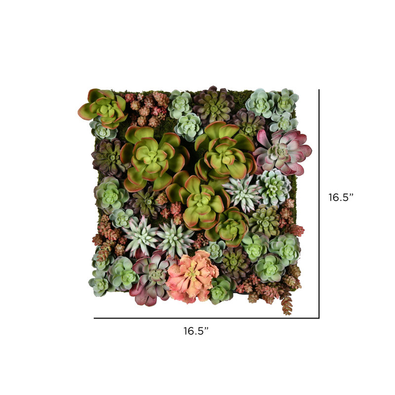 Arrangement floral succulent