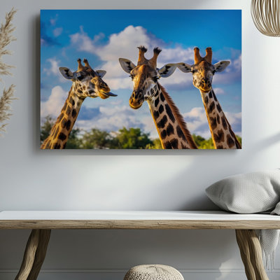 Canvas In An Enchanting Close Up Three Giraffes Dominate The Scene Wall Art Their Elongated Necks Elegantly Arching Against A Canvas Wall Art