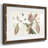 " Amaryllis Varietals II "-1561138141-1561138129