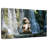 Elephant Bath Time-107501015