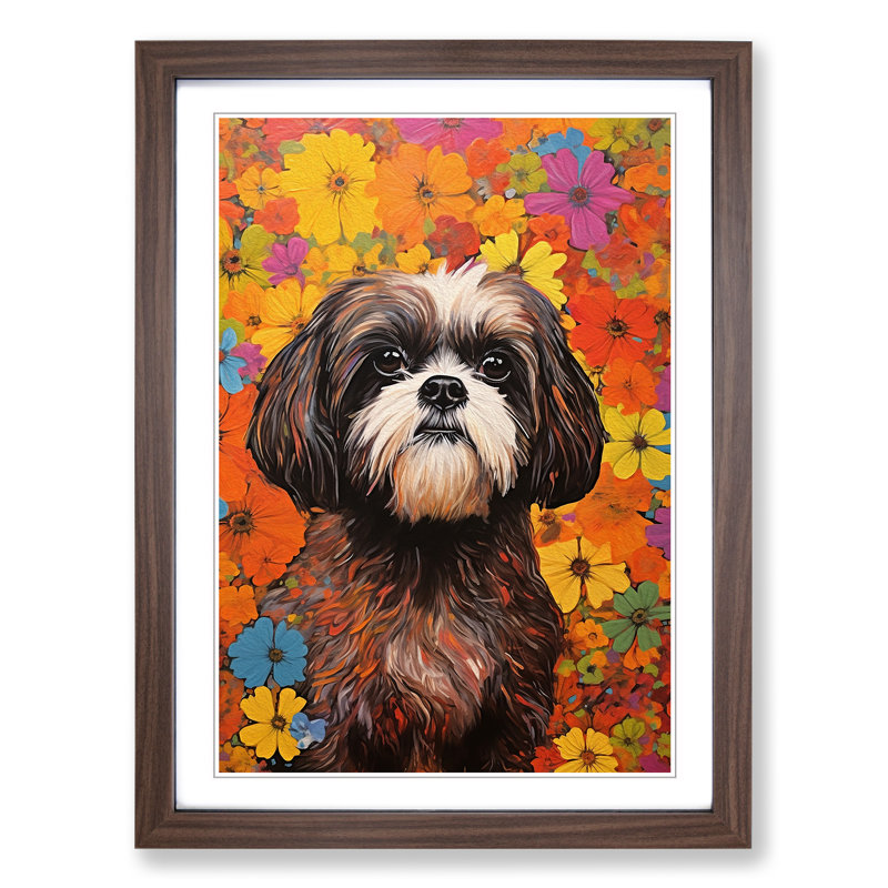 Shih Tzu Colour Field - Framed Print, Walnut, 64cm H x 46cm W x 2cm D