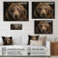 Portrait d'ours sur bois-591555934