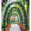 Ensemble de housse de couette de jardin-71504873