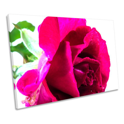 Rose Flower - Wrapped Canvas Art Prints