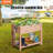 Carlishia Wood Raised Garden Bed