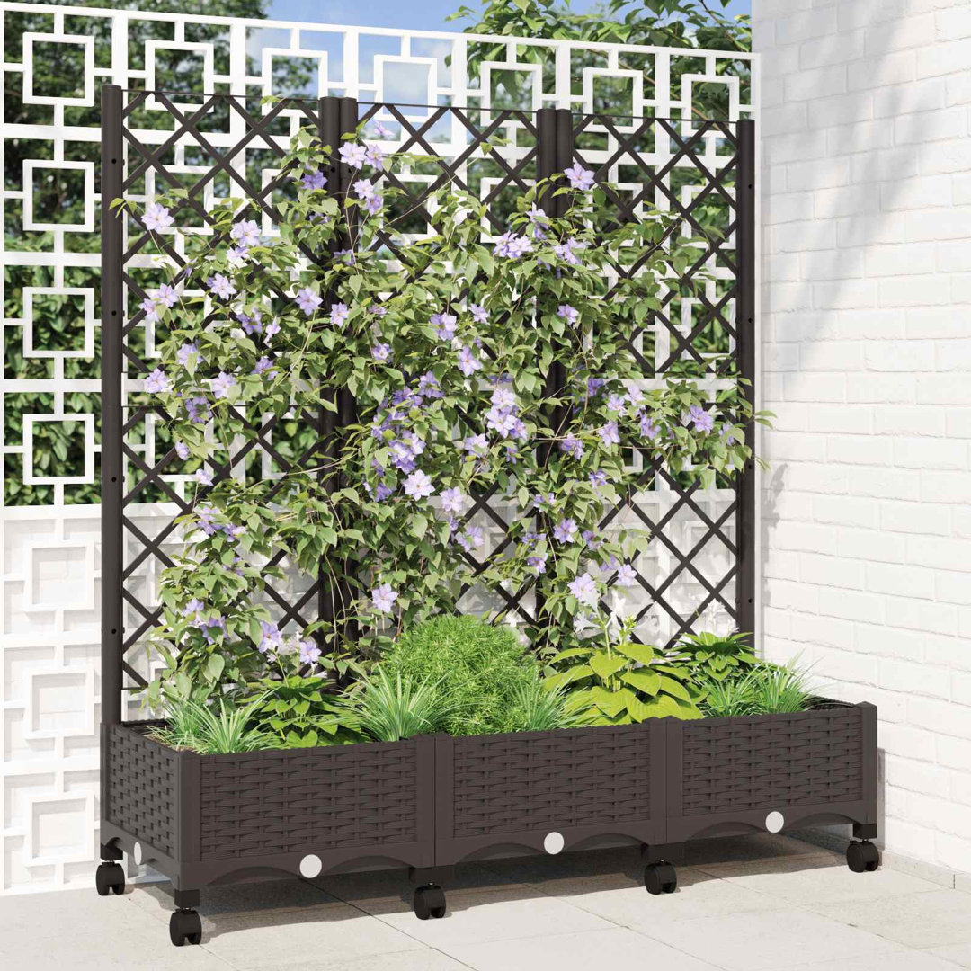 Planter Box