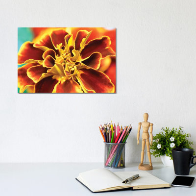 Calendula - Wrapped Canvas Print