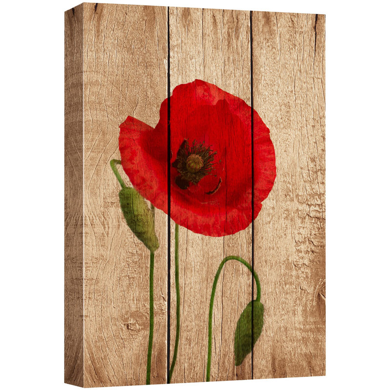 Gros plan sur une fleur de coquelicot rouge sur des panneaux de bois, H 24 po x l 16 po