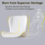 Ensemble de 4 chaises de salle à manger Modern-1009729849-1009729852