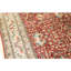 Hand Knotted Wool Oriental Area Rug in Rust And Ivory