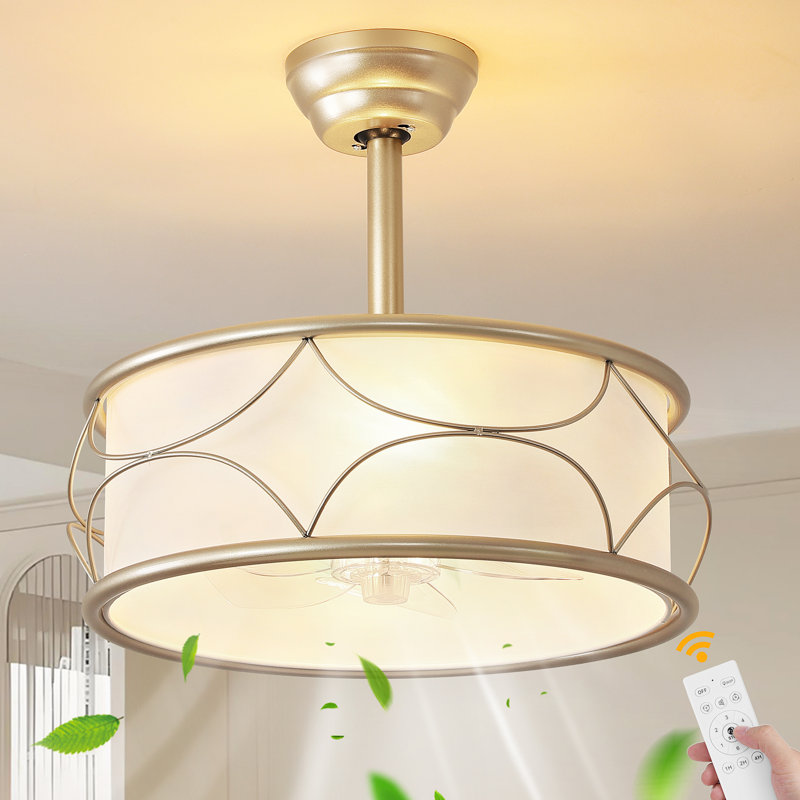 18'' Modern Ceiling Fan With Light