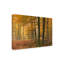 Wingler Canvas Landscape & Nature Wall Decor-87945804