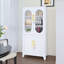 Armoire de rangement verrouillable polyvalente en fer-2032160621