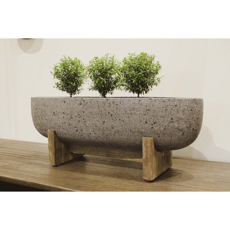 Jett Pot Planter Color: Gray