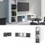 Raumteiler Ludus Bookcase