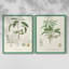 Impression encadrée botanique antique I-Premium - prête à être accrochée - aucun clou requis-1627489721-1627489723