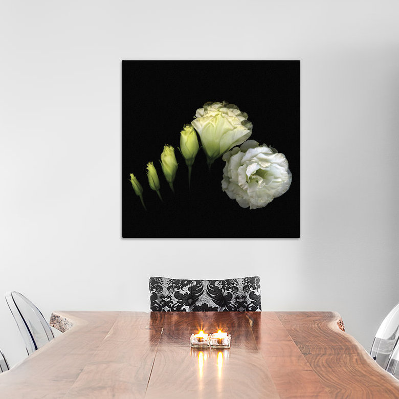 Circumvolution, impression sur toile tendue, H 26 po x l 26 po x P 1,5 po, Toile avec cadre noir, Pas de tapis
