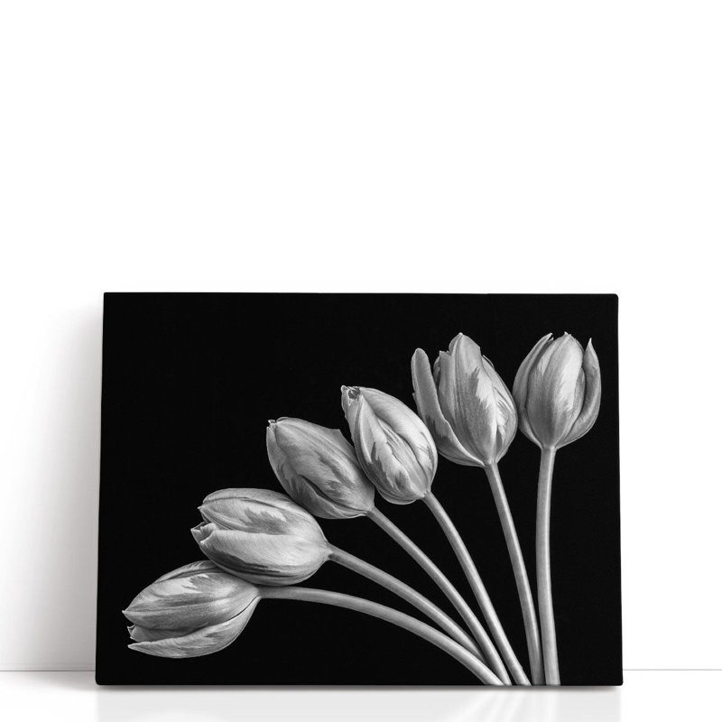 Fleurs de tulipes en forme d'éventail, H 18 po x l 24 po, Noir / blanc
