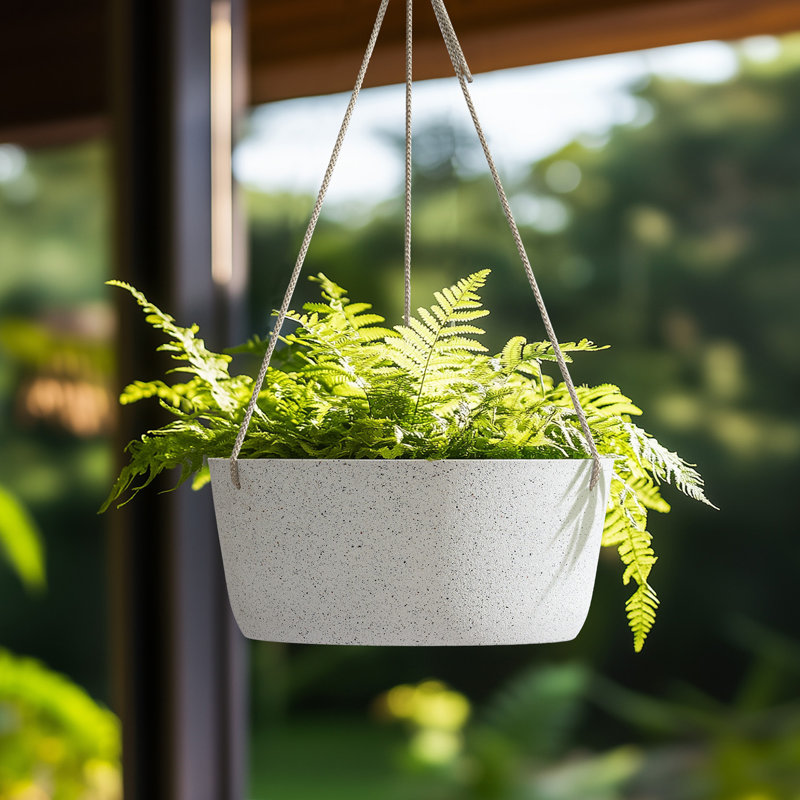 Grandes jardinières suspendues - pots de fleurs d'extérieur 12 pouces, ensemble de 2 jardinières suspendues, Blanc