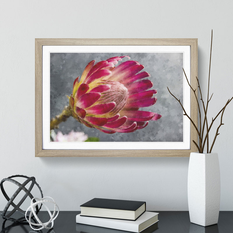 Pink Protea Flower - Framed Print, 48cm H x 65cm W x 2cm D, Oak Framed