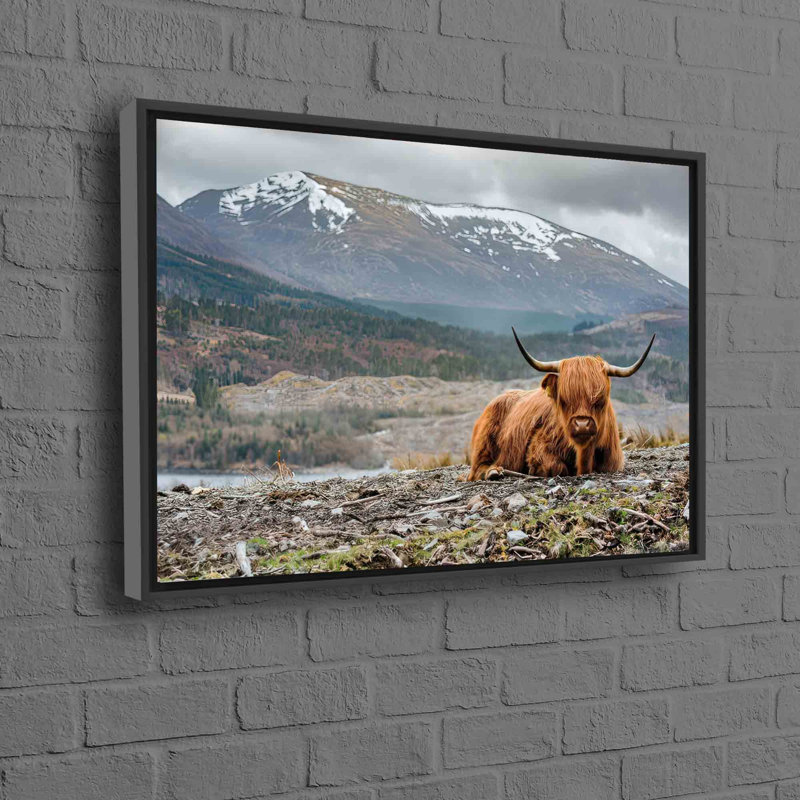 Art sur toile de coton tropical, Highland, Cadre flottant noir, H 45 po x l 81 po